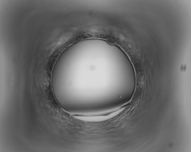 X0000097301253200802291806