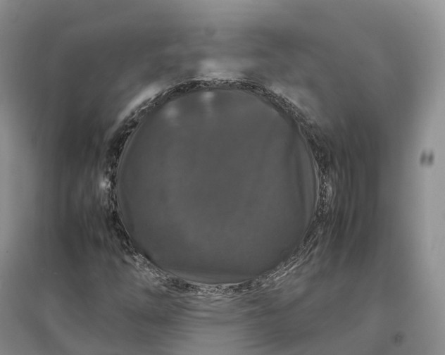 X0000097301254200802291806