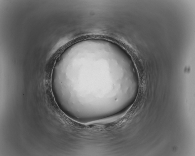 X0000097301255200802291806