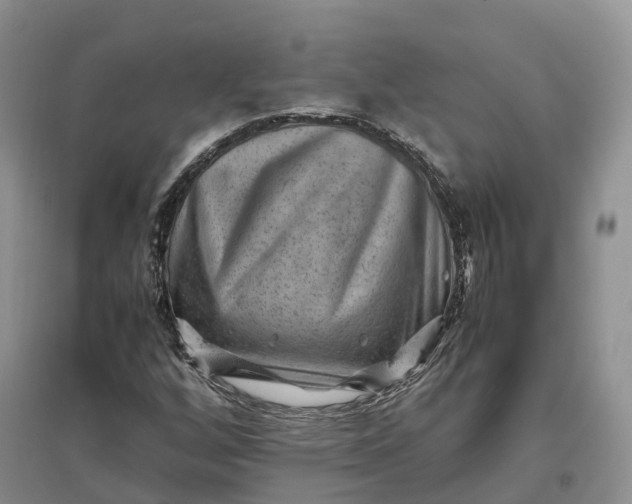 X0000097301256200802291806