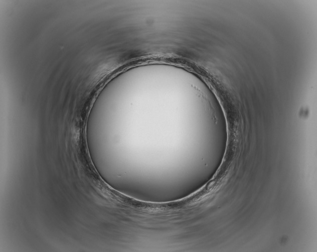 X0000097301257200802291806