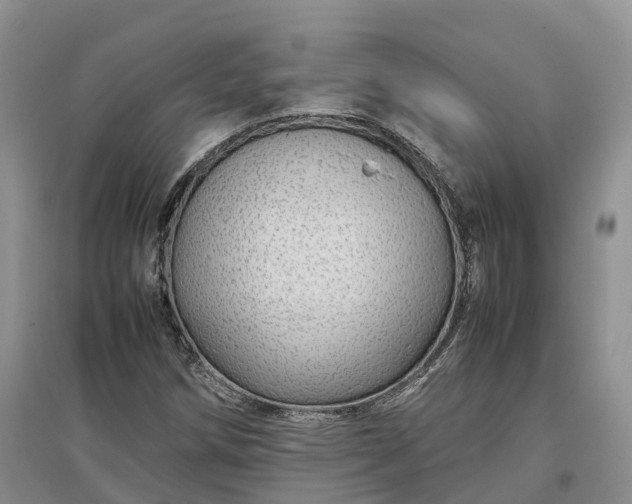 X0000097301258200802291806