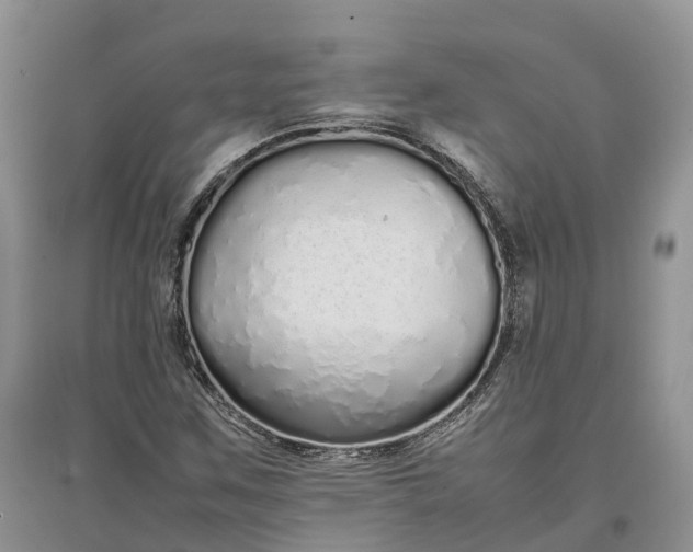 X0000097301259200802291806