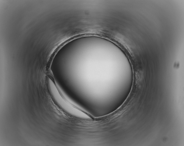 X0000097301260200802291806