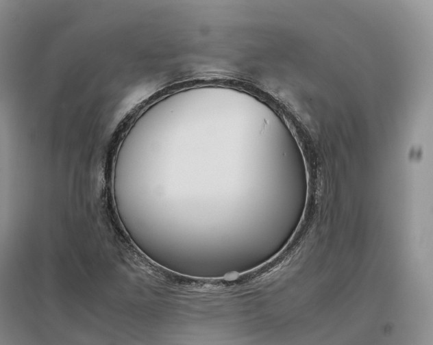 X0000097301261200802291806