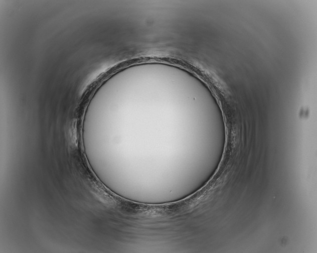 X0000097301262200802291806