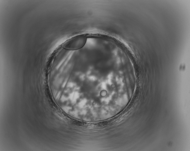 X0000097301263200802291806