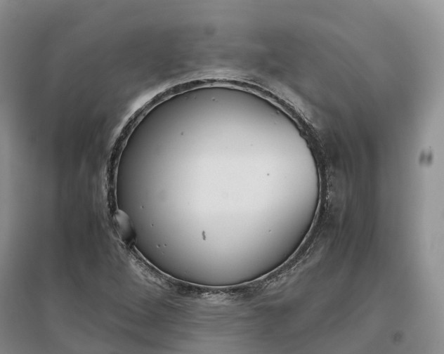 X0000097301264200802291806