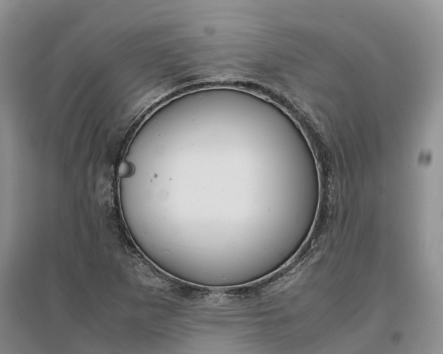 X0000097301265200802291806