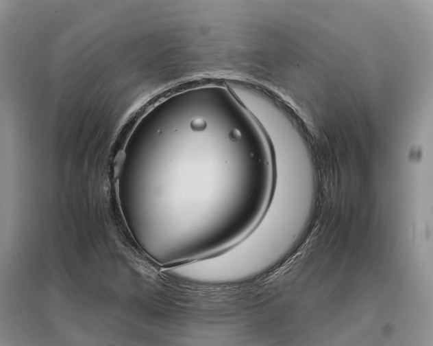 X0000097301266200802291806