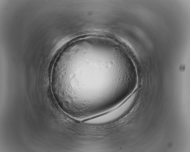 X0000097301267200802291806