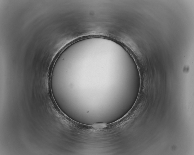 X0000097301268200802291806