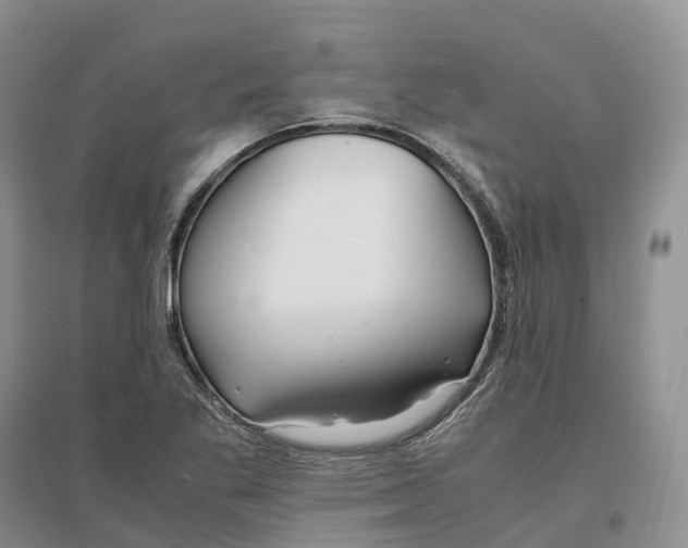 X0000097301269200802291806