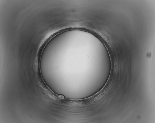 X0000097301270200802291805