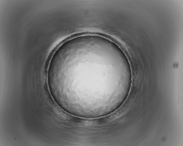 X0000097301271200802291805