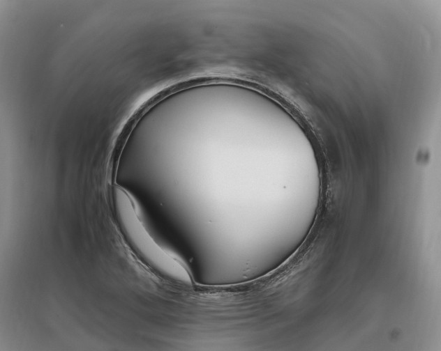 X0000097301272200802291805