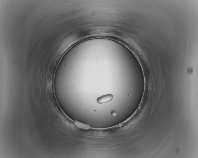 X0000097301273200802291805