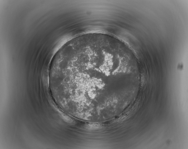 X0000097301274200802291805