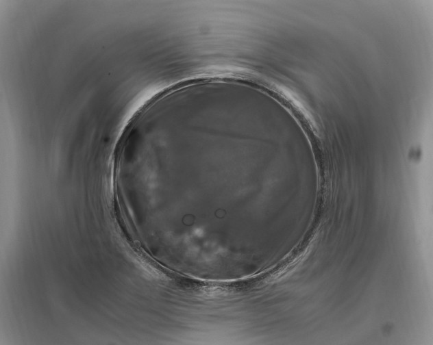 X0000097301275200802291805