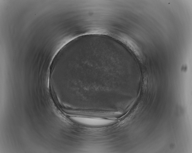 X0000097301276200802291805