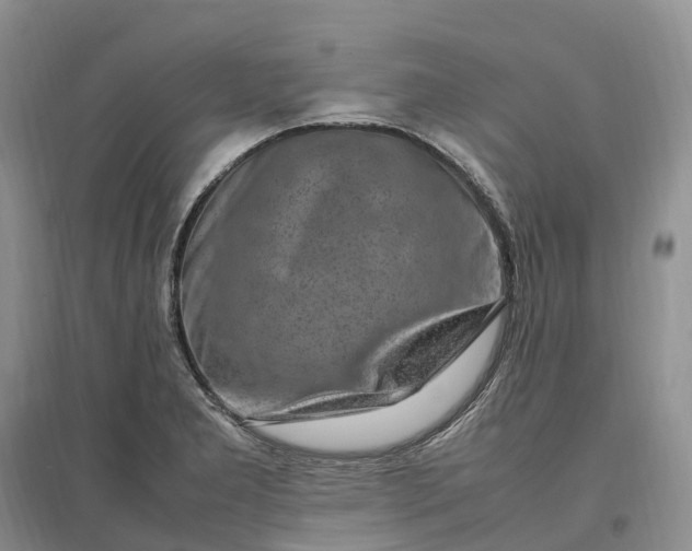 X0000097301277200802291805