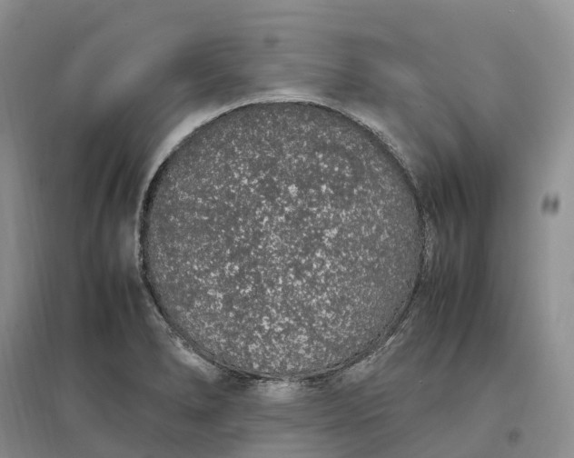 X0000097301278200802291805