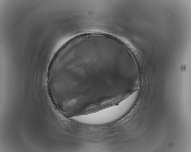 X0000097301279200802291805