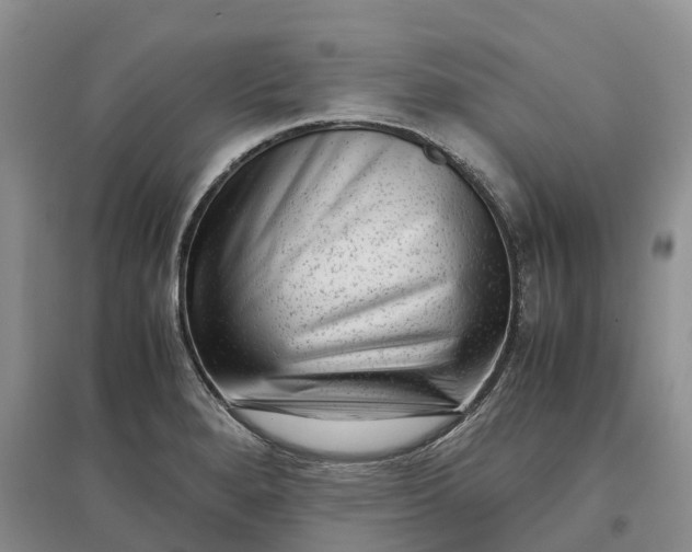 X0000097301280200802291805