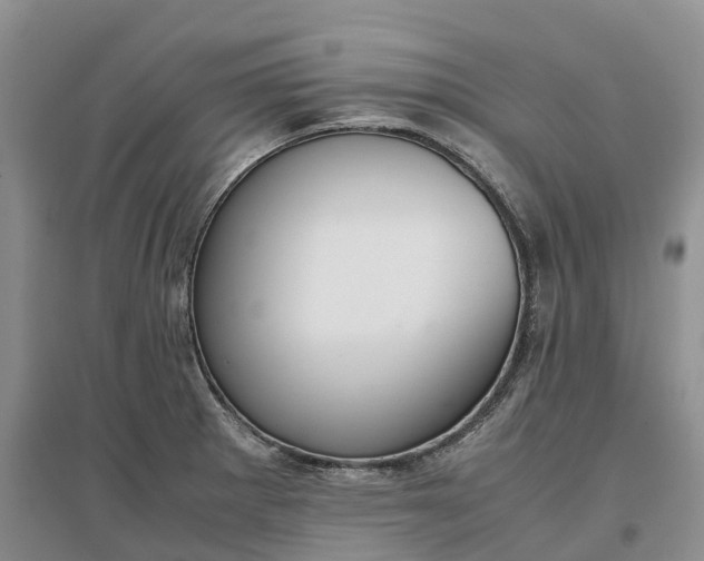 X0000097301281200802291805