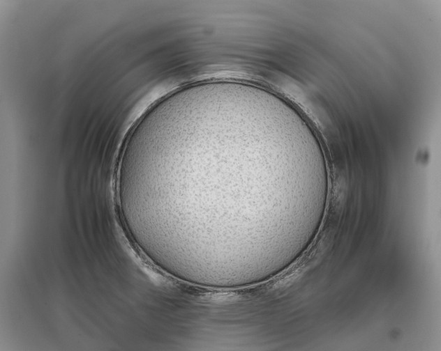 X0000097301282200802291805