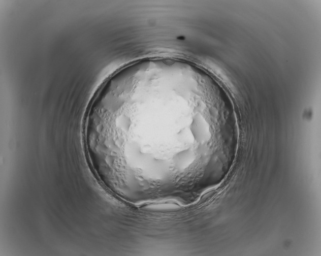 X0000097301283200802291805