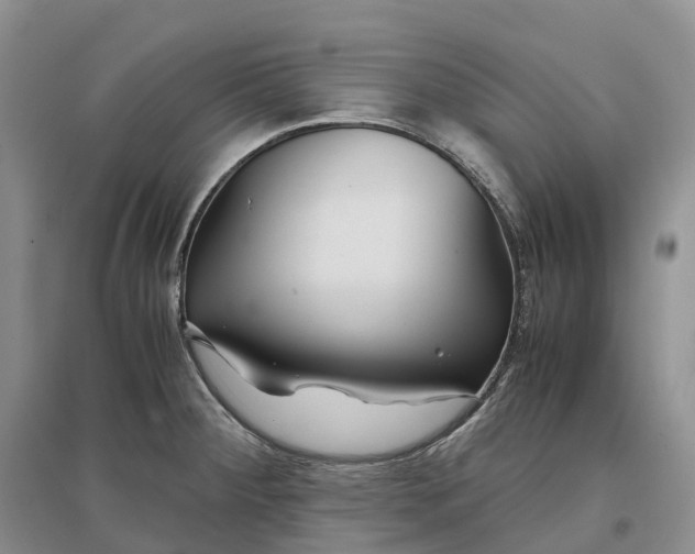 X0000097301284200802291805