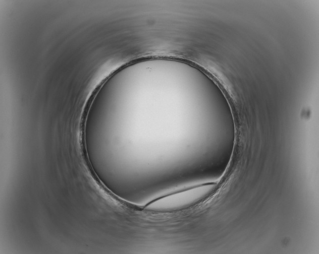 X0000097301285200802291805