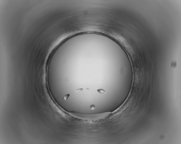 X0000097301286200802291805