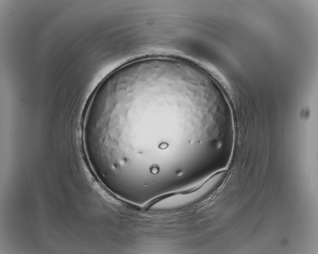 X0000097301287200802291805