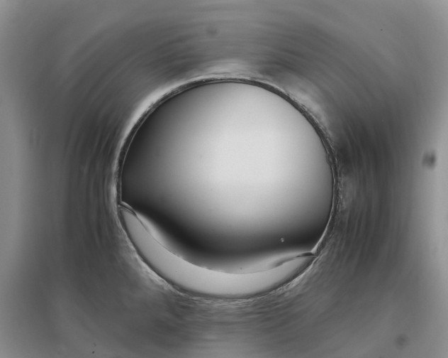 X0000097301288200802291805