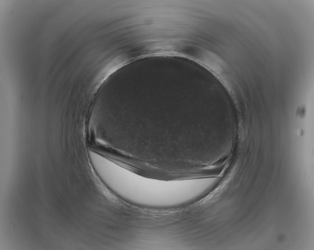 X0000097301289200802291805