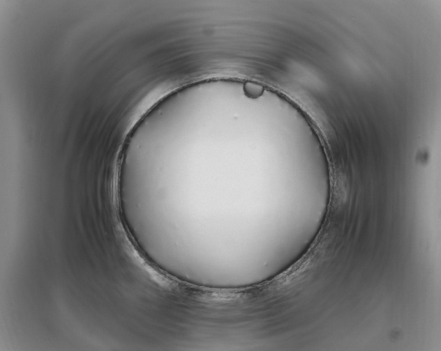 X0000097301290200802291805