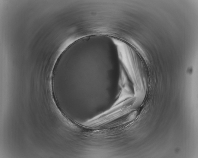 X0000097301291200802291805