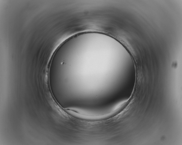 X0000097301292200802291805