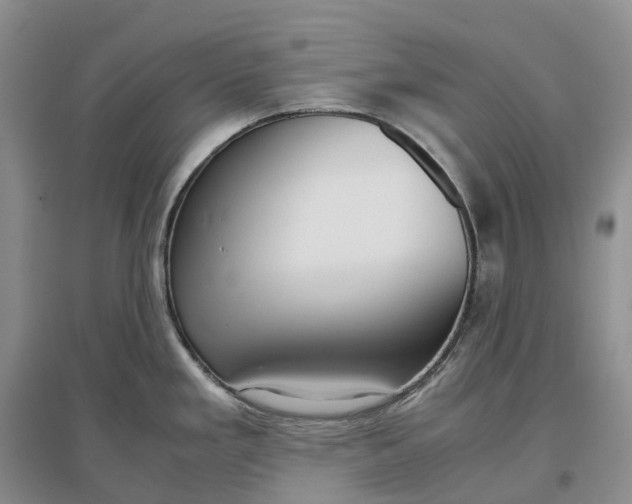 X0000097301293200802291805