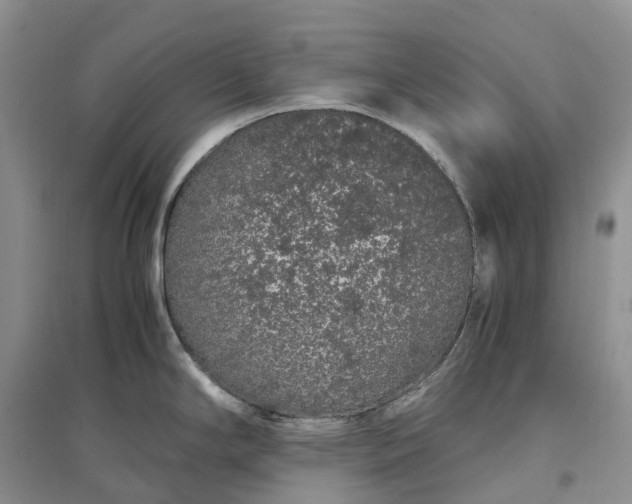 X0000097301294200802291805