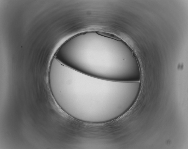 X0000097301296200802291805