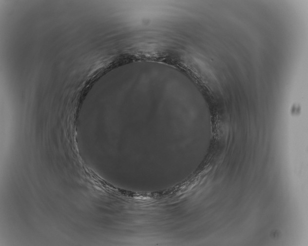 X0000097301297200802291804