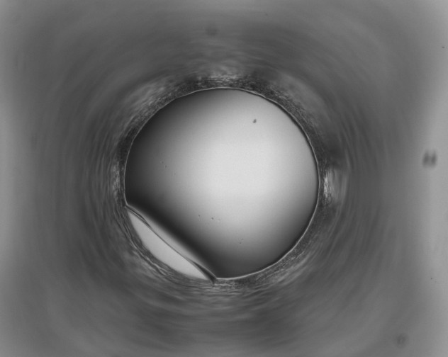 X0000097301299200802291805