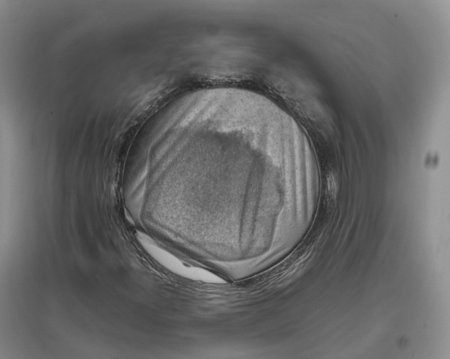 X0000097301300200802291805