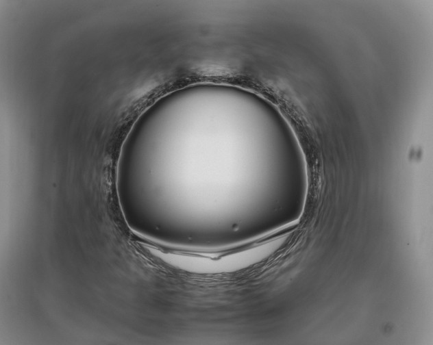 X0000097301301200802291805