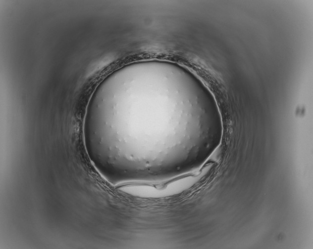 X0000097301302200802291805