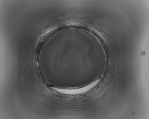 X0000097301303200802291805