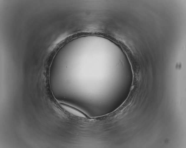 X0000097301304200802291805